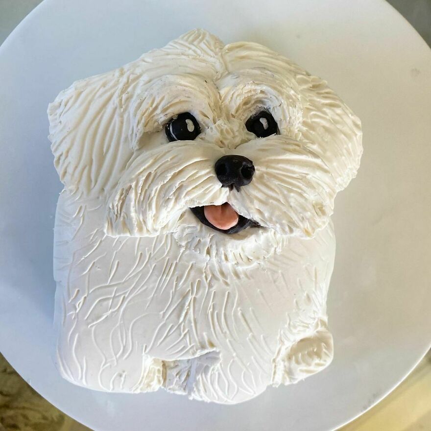 Cake Of My Dog Rosey 💞
i Needed Some Wholesome On My Page After Those Shrek Brownies.. Still Debating Whether Or Not To Bring Those To Insta 😂
#cake #dog #maltipoo #cakedecorating #petsofinstagram