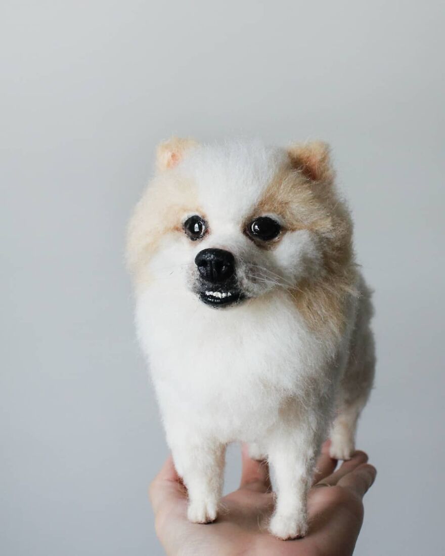 My Name Is Olaf, Please Say Hi To Me!
.
swipe Till The Last, To See The Real Me😁
.
#reallookseriesmootomotto #pomeranian
.
@olaf.caramel
@glennjulifer
@v.sevillaa