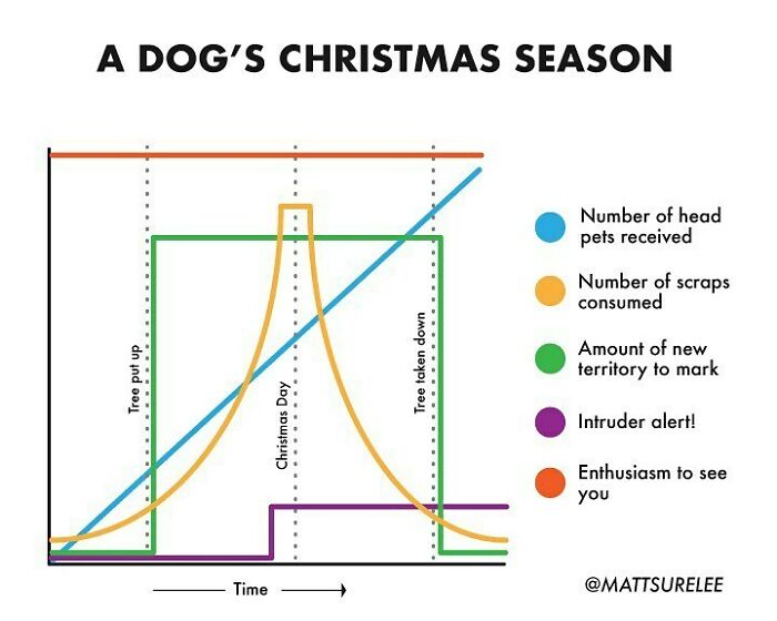 Christmas From Your Dog’s Pov.