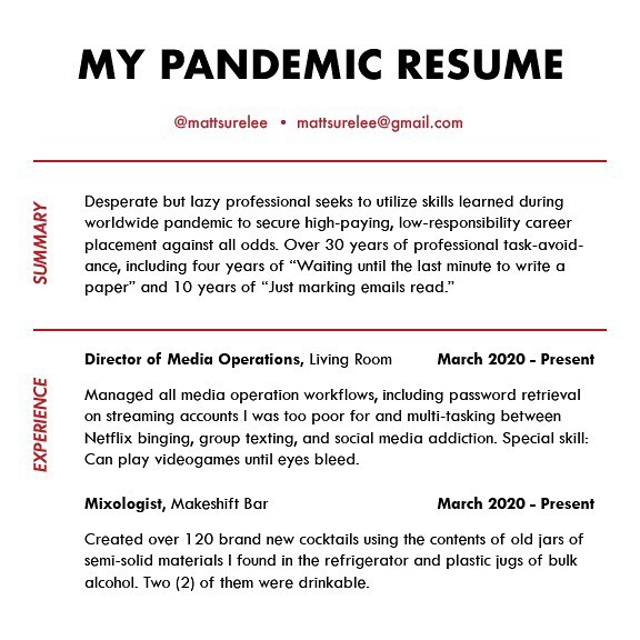 Been working really hard on my pandemic resume. Swipe for part 2.