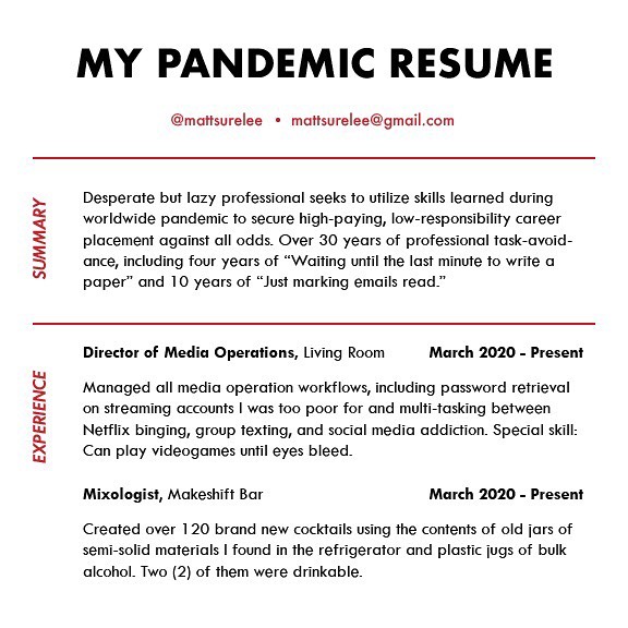 Been Working Really Hard On My Pandemic Resume. Swipe For Part 2.