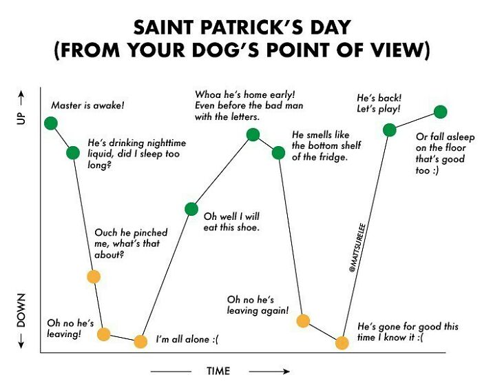 St. Pat’s From Your Dog’s Pov.