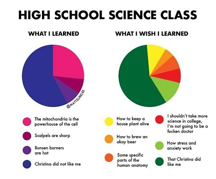 My high school science class