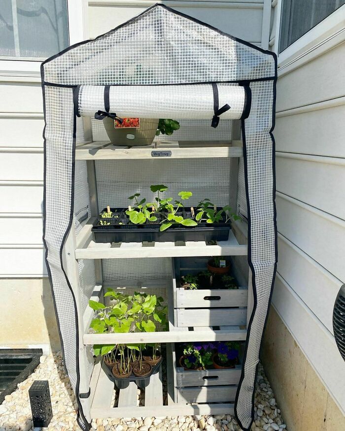 Small Greenhouse Idea