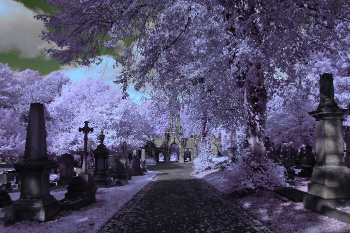 I Took This Picture With My Converted Infrared Dslr And Edited The Hue.