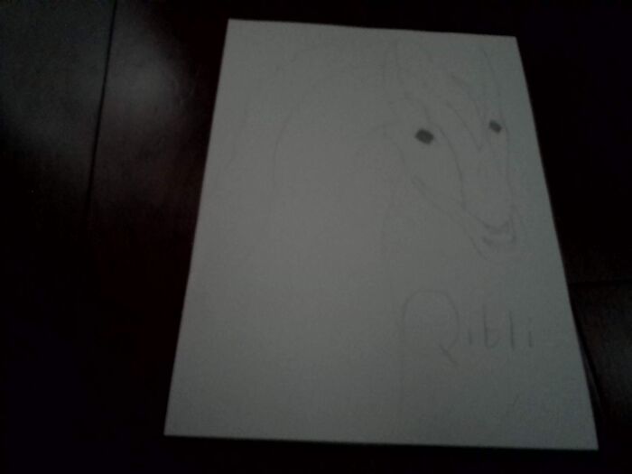 My Horrible Drawing (Sorry, It's Blurry: