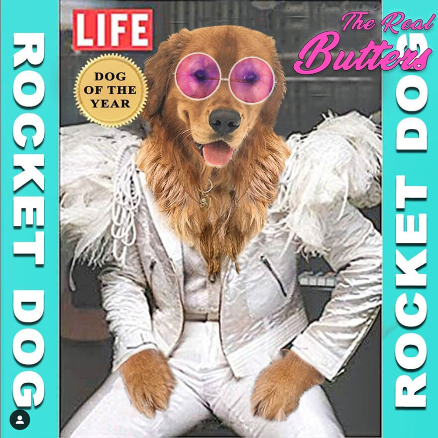 This Rocket Dog Knows How To Rock Out