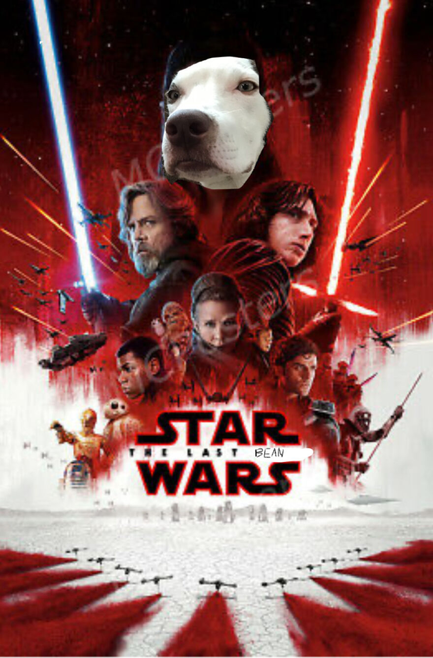 I Spent 30 Minutes Of My Life Creating Movie Posters With My Dog