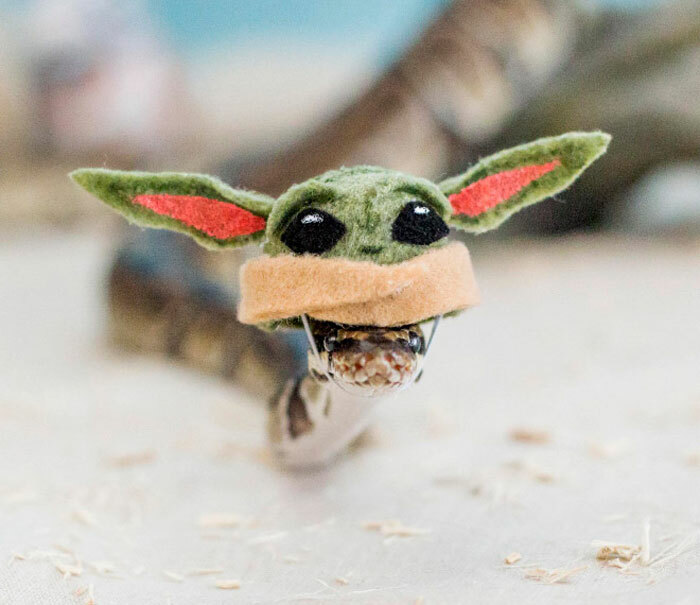 Danger Noodle In Hat ( I Saved This Pic From Another Bored Panda Post)