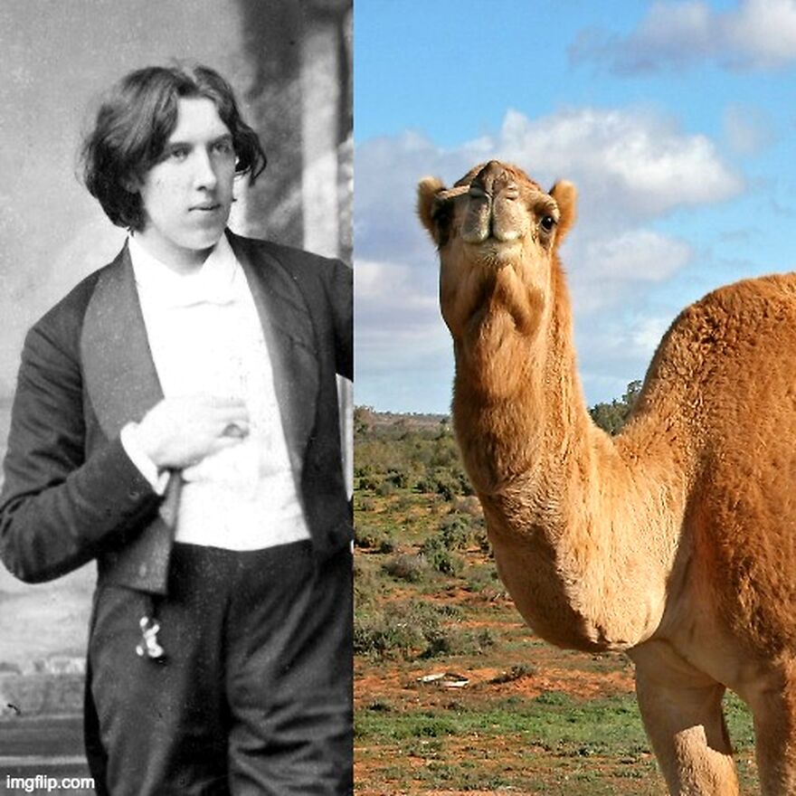 I Compared The Heights Of Famous Writers With Animals