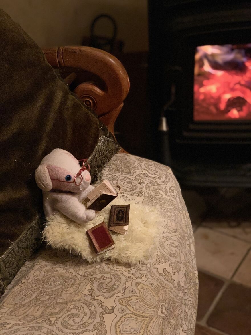 On A Cozy Evening By The Fire With His Favorite Books