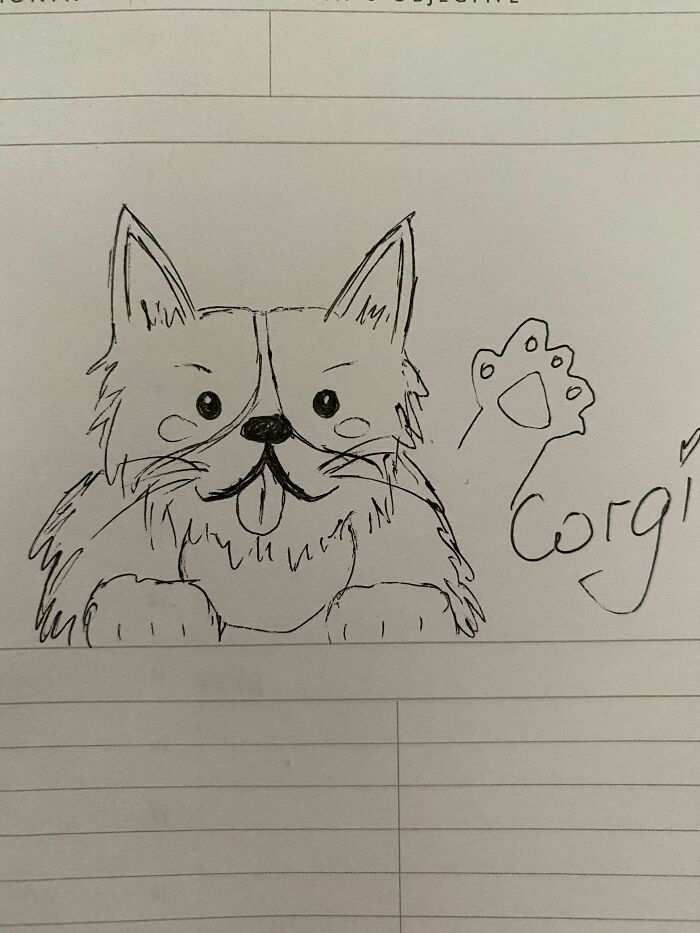 Here's A Corgi
