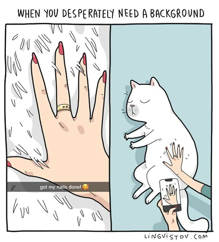 Lingvistov Comics Shows What It's Like To Live With A Cat Daily (New Pics)