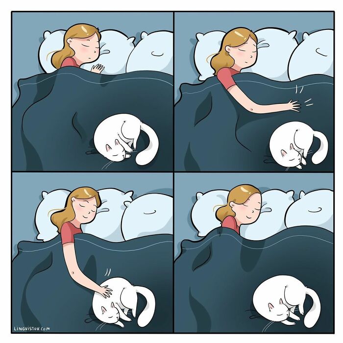 Lingvistov Comics Shows What It's Like To Live With A Cat Daily (New Pics)
