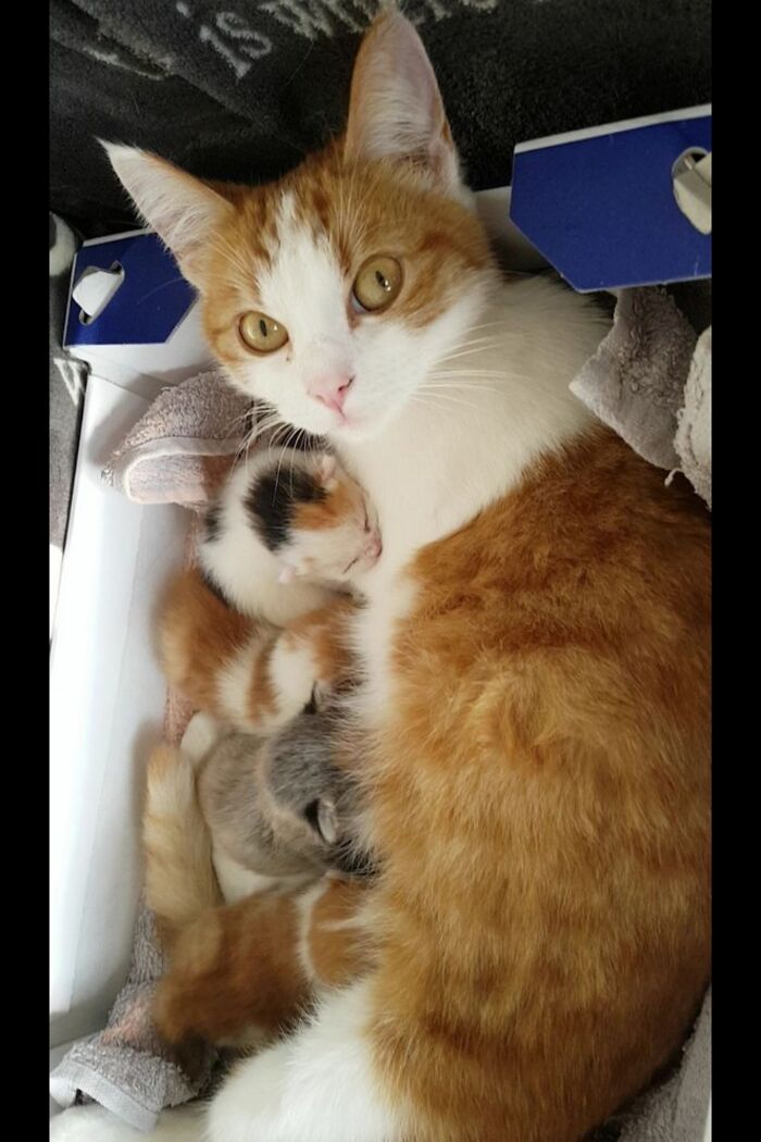 Most Wholesome Has Got To Be Mommy & Her Baby Beans ♡