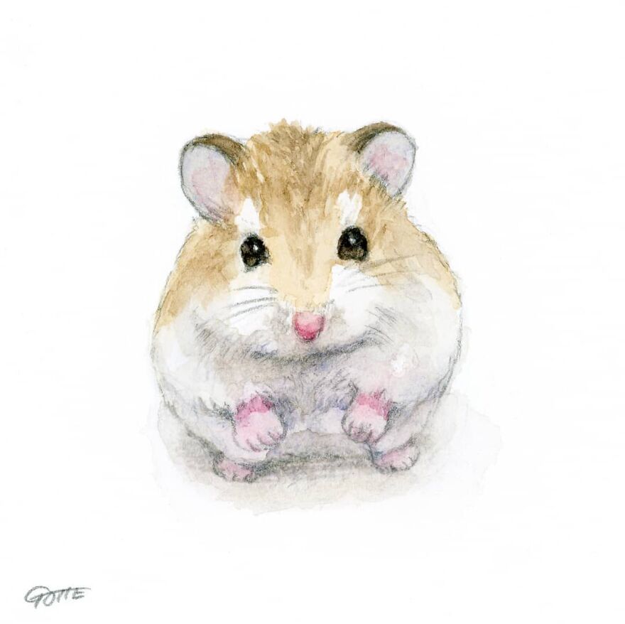 This Adorable Hamster Lives A Human Existence (New Pics)