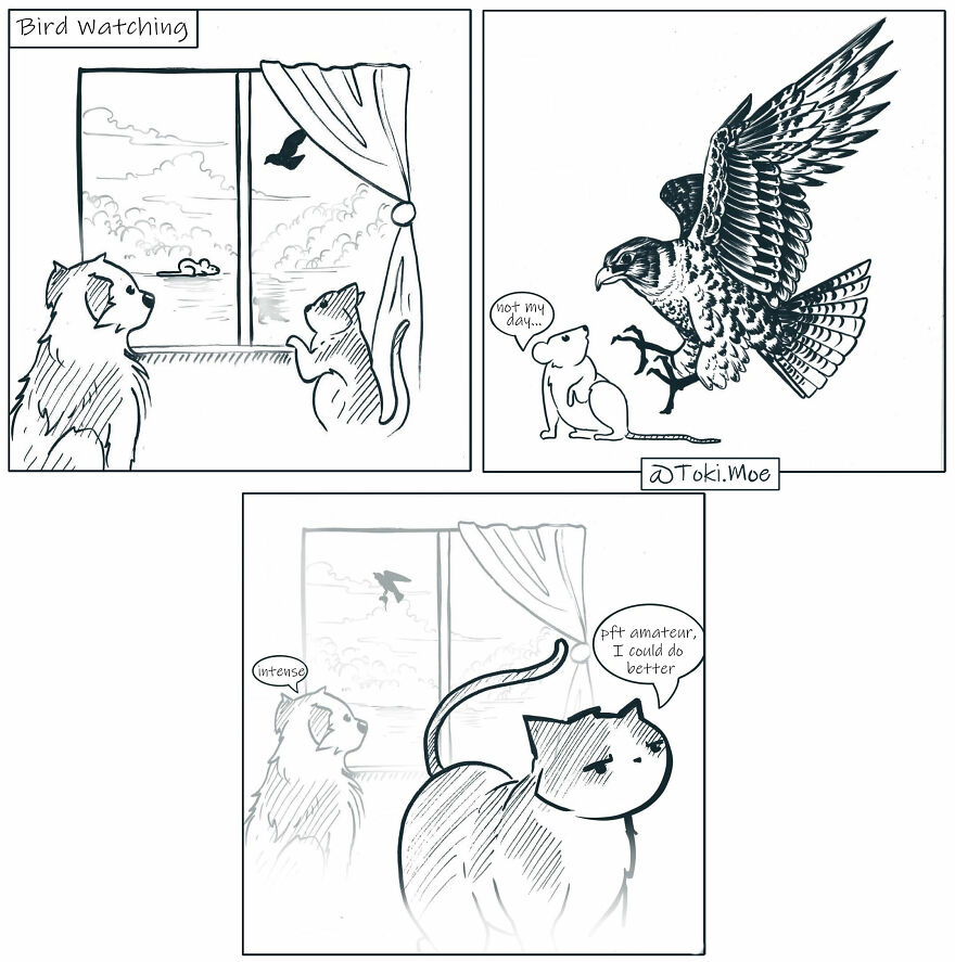 My 27 More Comics And 2 New Animations That Show What It’s Like To Live With A Cat And A Dog