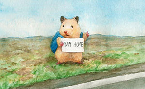 157 More Wholesome Illustrations Of A Hamster Named Sukeroku By Gotte