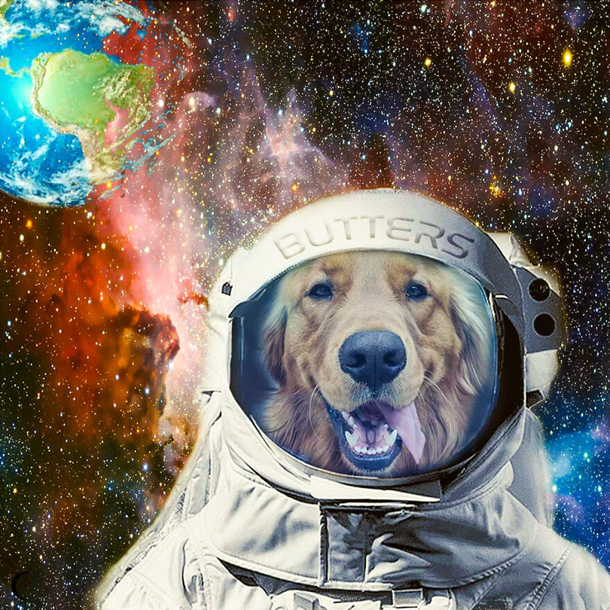 One Small Step For Dogs- One Giant Leap For Butters!
