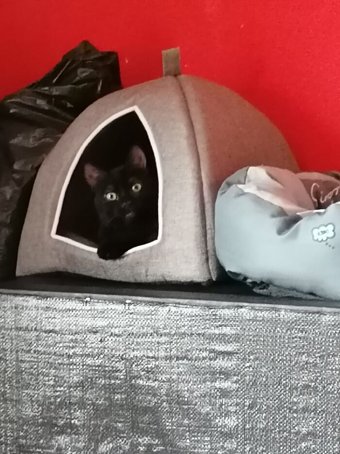 First Time In His New Igloo Xxx