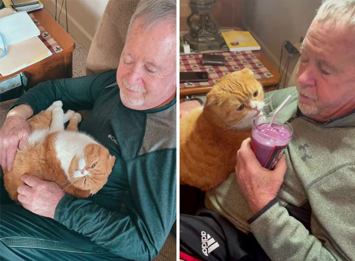 Cat Refuses To Leave The Side Of His Grandpa Who’s Fighting Cancer