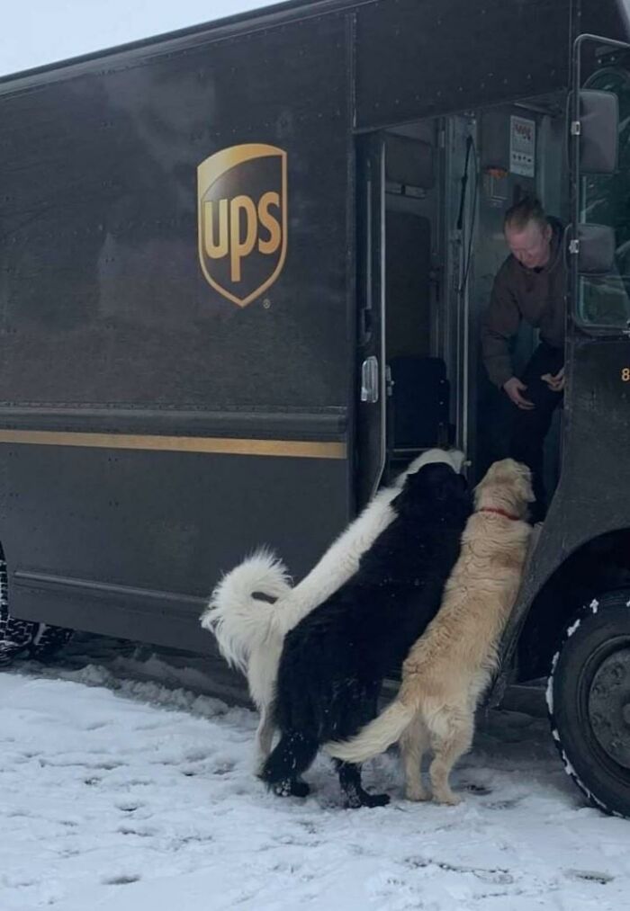35 Times UPS Drivers Were Lucky To Meet Dogs On Their Routes And Shared The Pics On This Group (New Pics)