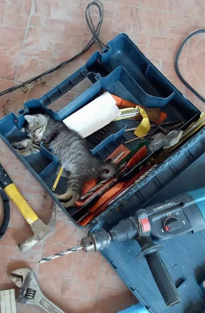 Caught The Repair Man Sleeping On The Job 