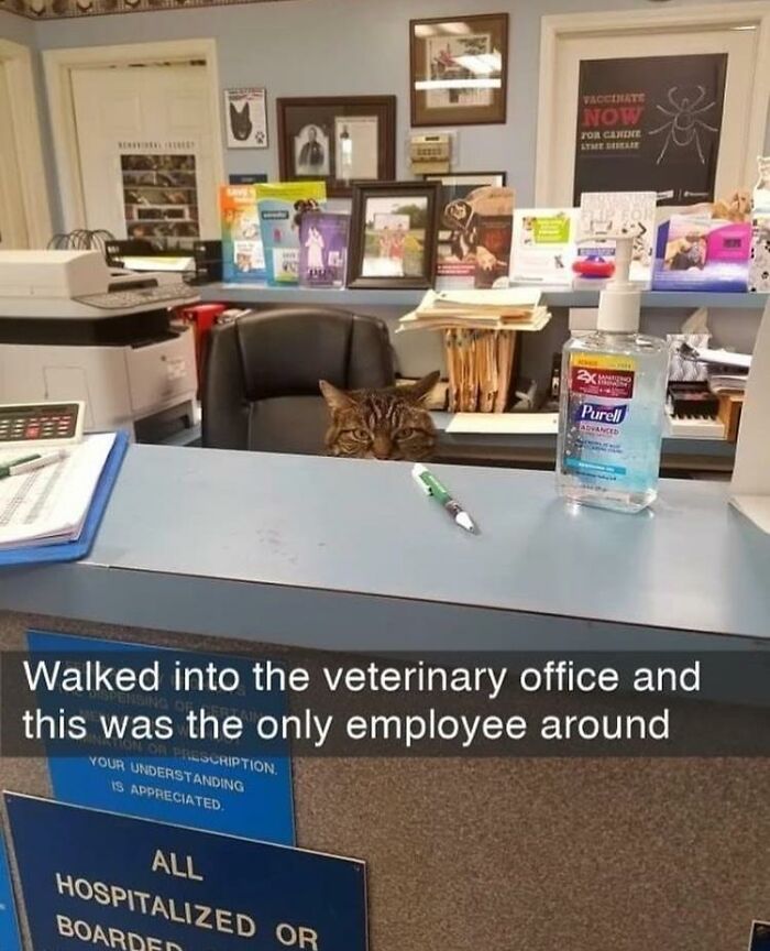 This Is The Only Employee I Would Need Anyway