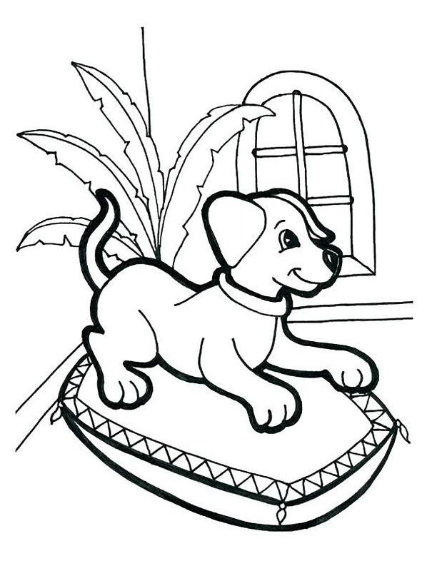 coloring-pages-for-children-dogs-72202-607b24f3658be.jpg