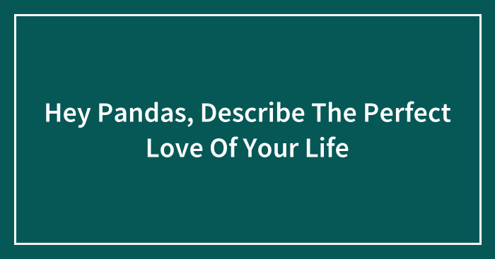 Hey Pandas, Describe The Perfect Love Of Your Life (Closed)