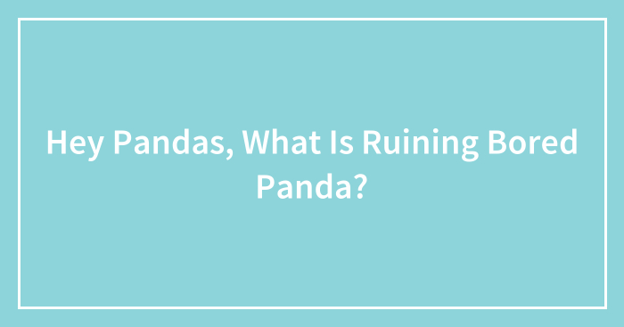 Hey Pandas, What Is Ruining Bored Panda? (Closed)