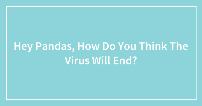 Hey Pandas, How Do You Think The Virus Will End? (Closed)