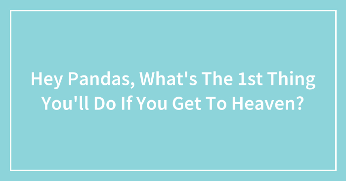 Hey Pandas, What’s The 1st Thing You’ll Do If You Get To Heaven? (Closed)