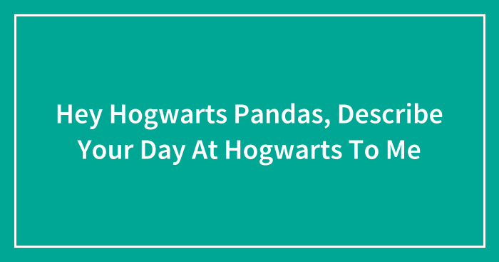 Hey Hogwarts Pandas, Describe Your Day At Hogwarts To Me (Closed)
