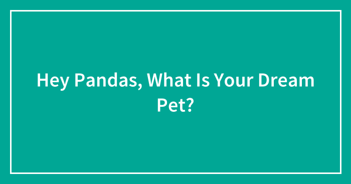 Hey Pandas, What Is Your Dream Pet? (Closed)