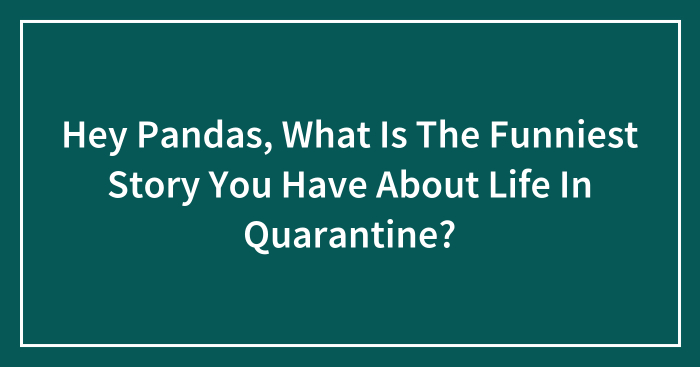 Hey Pandas, What Is The Funniest Story You Have About Life In Quarantine? (Closed)