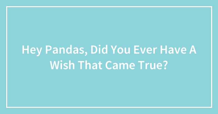 Hey Pandas, Did You Ever Have A Wish That Came True? (Closed)