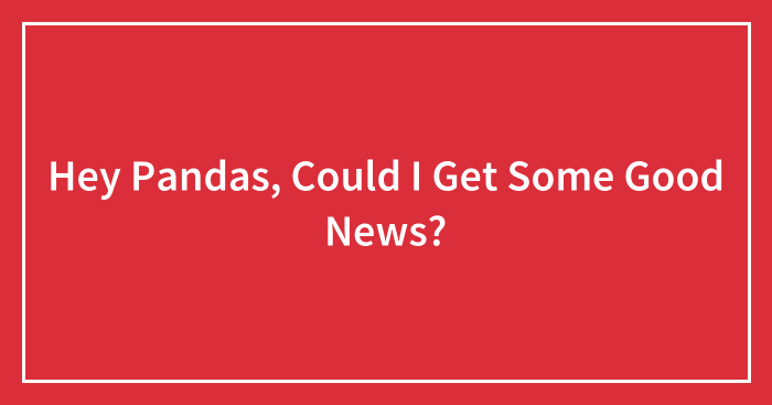 Hey Pandas, Could I Get Some Good News? (Closed)