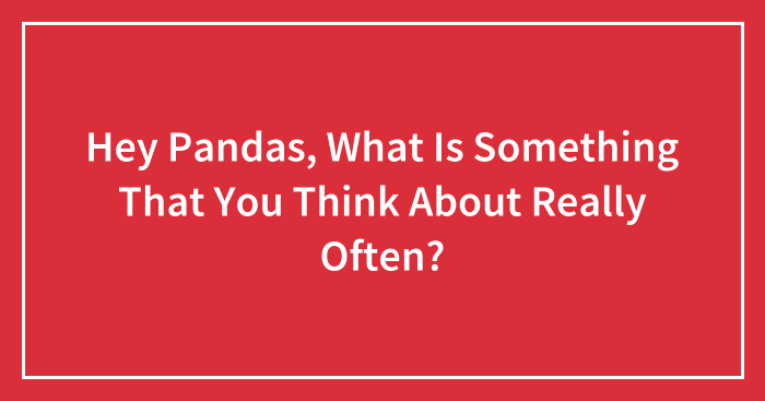 Hey Pandas, What Is Something That You Think About Really Often? (Closed)