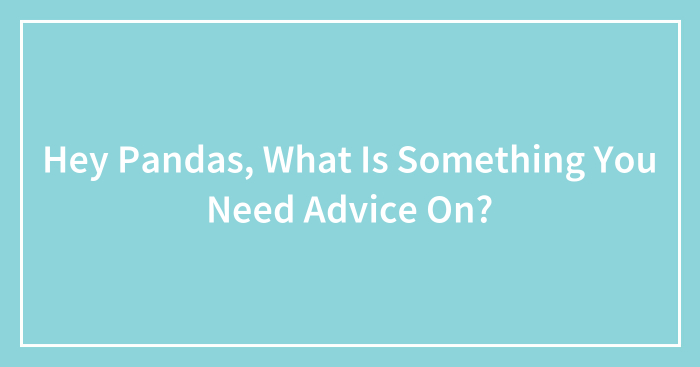 Hey Pandas, What Is Something You Need Advice On? (Closed)