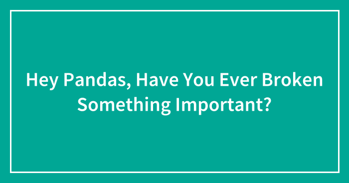 Hey Pandas, Have You Ever Broken Something Important? (Closed)