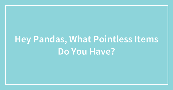 Hey Pandas, What Pointless Items Do You Have? (Closed)