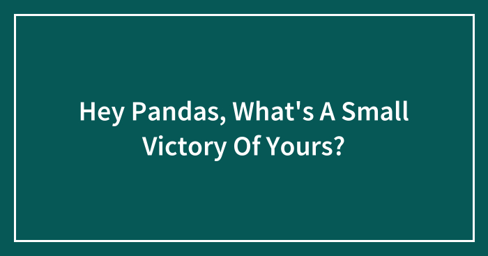 Hey Pandas, What’s A Small Victory Of Yours? (Closed)
