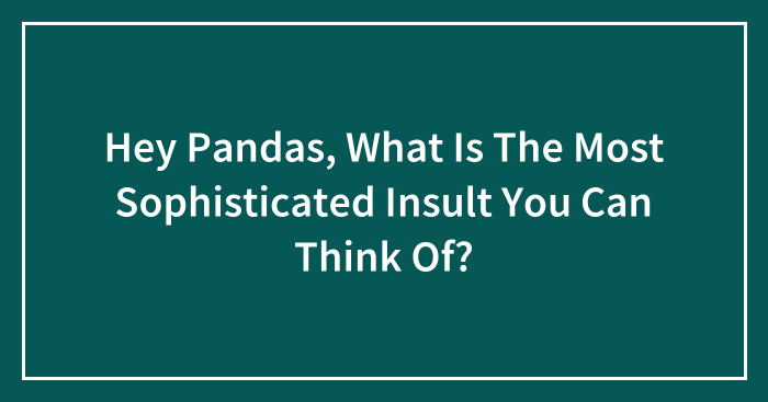 Hey Pandas, What Is The Most Sophisticated Insult You Can Think Of? (Closed)