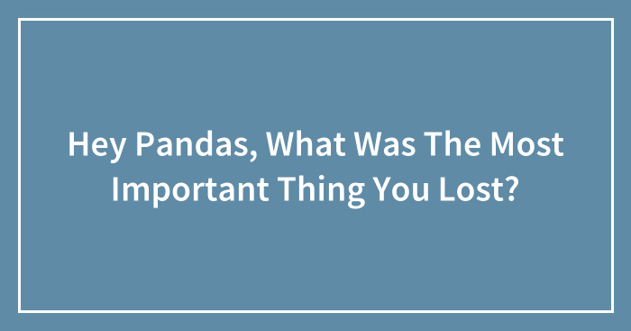 Hey Pandas, What Was The Most Important Thing You Lost? (Closed)