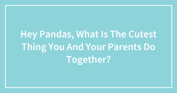 Hey Pandas, What Is The Cutest Thing You And Your Parents Do Together? (Closed)