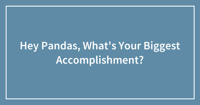 Hey Pandas, What’s Your Biggest Accomplishment? (Closed)
