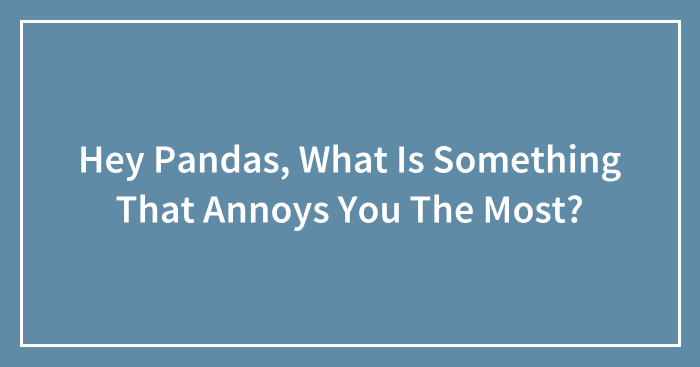 Hey Pandas, What Is Something That Annoys You The Most? (Closed)