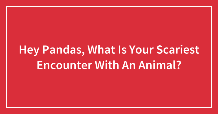 Hey Pandas, What Is Your Scariest Encounter With An Animal? (Closed)