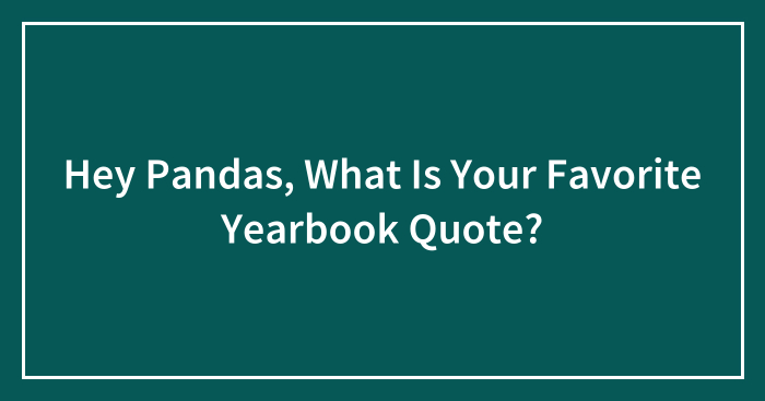 Hey Pandas, What Is Your Favorite Yearbook Quote? (Closed)